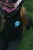 image00003.jpeg