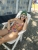 DSC01204.jpeg
