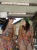 IMG_9078.jpeg
